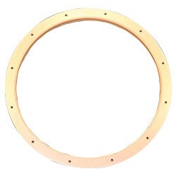 Retaining Rings Ebara